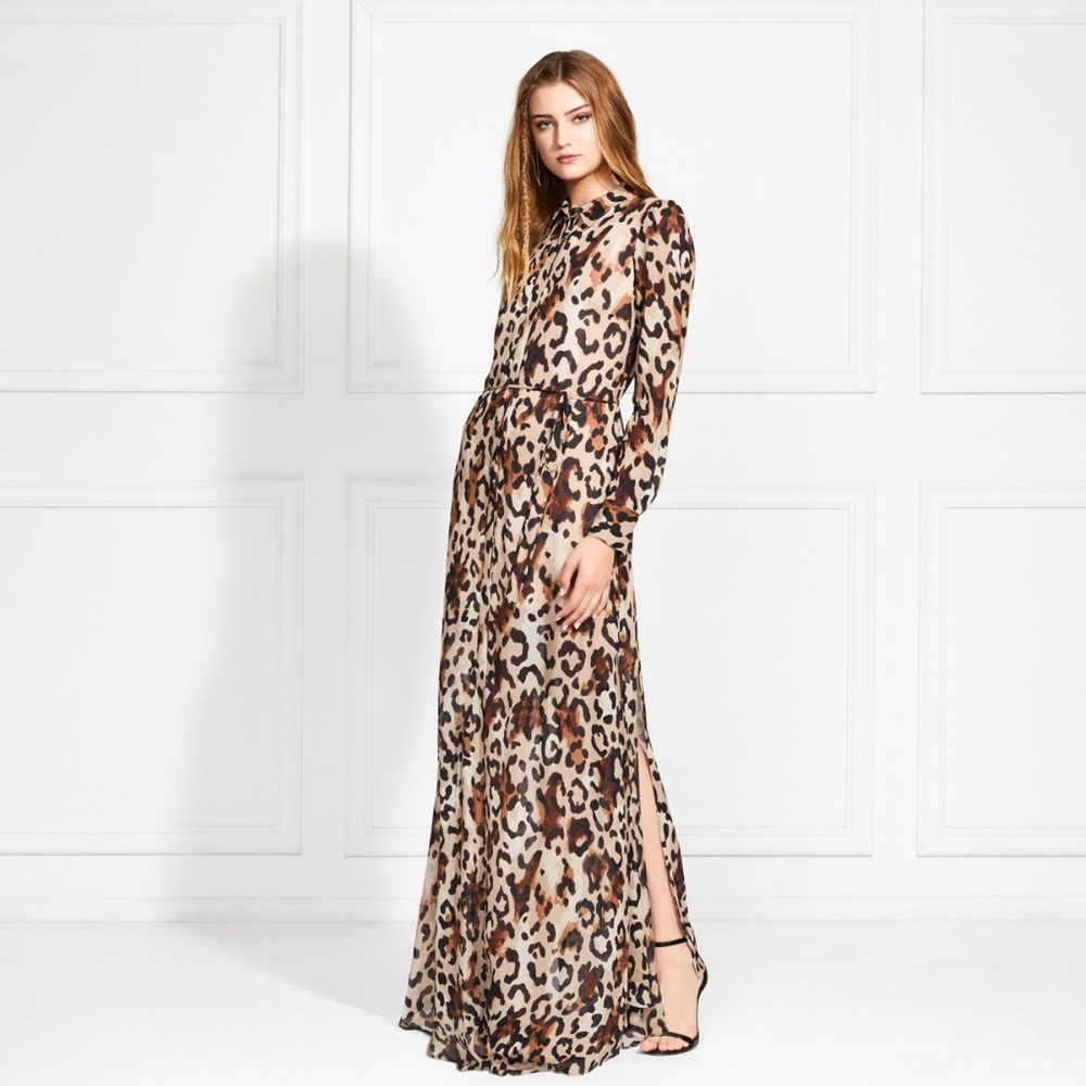🌼RACHEL ZOE  Leopard-Print Chiffon Maxi Shirt Dress S - Animal Print